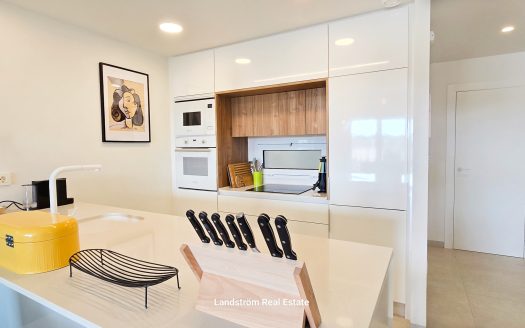 Modern south facing ground floor, 2 bedrooms 2 bathrooms, large terrace. El-Raso