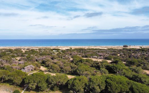 Super charming 2 bed, 2 bath bungalow in Pinomar.